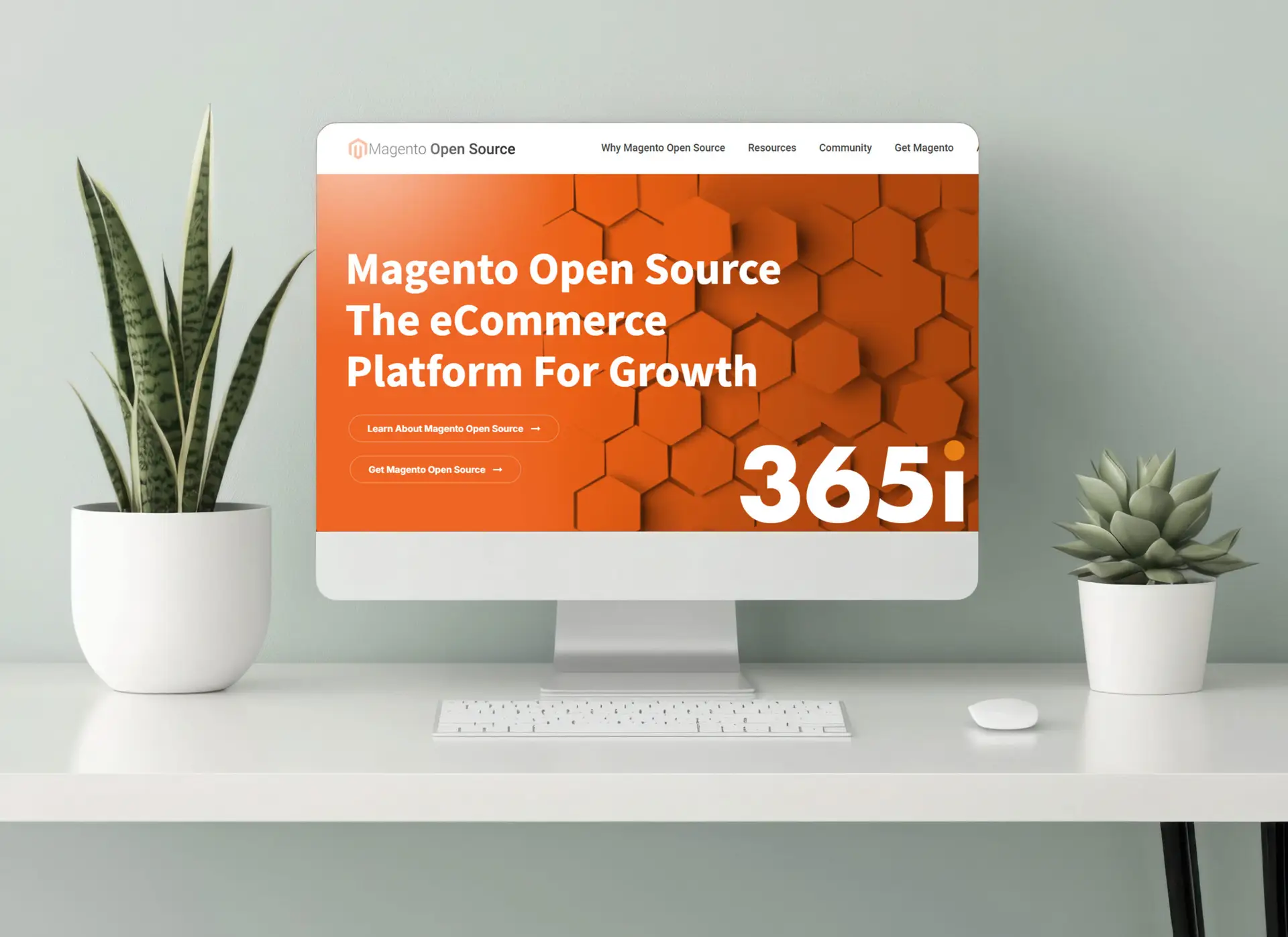 Magento Hosting